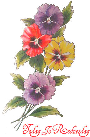 Download Sweet William - Full Size PNG Image - PNGkit