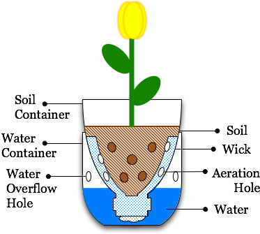 Illustration Sub Irrigated Planter From Pop Bottle - Sub Irrigated Planter (444x410), Png Download