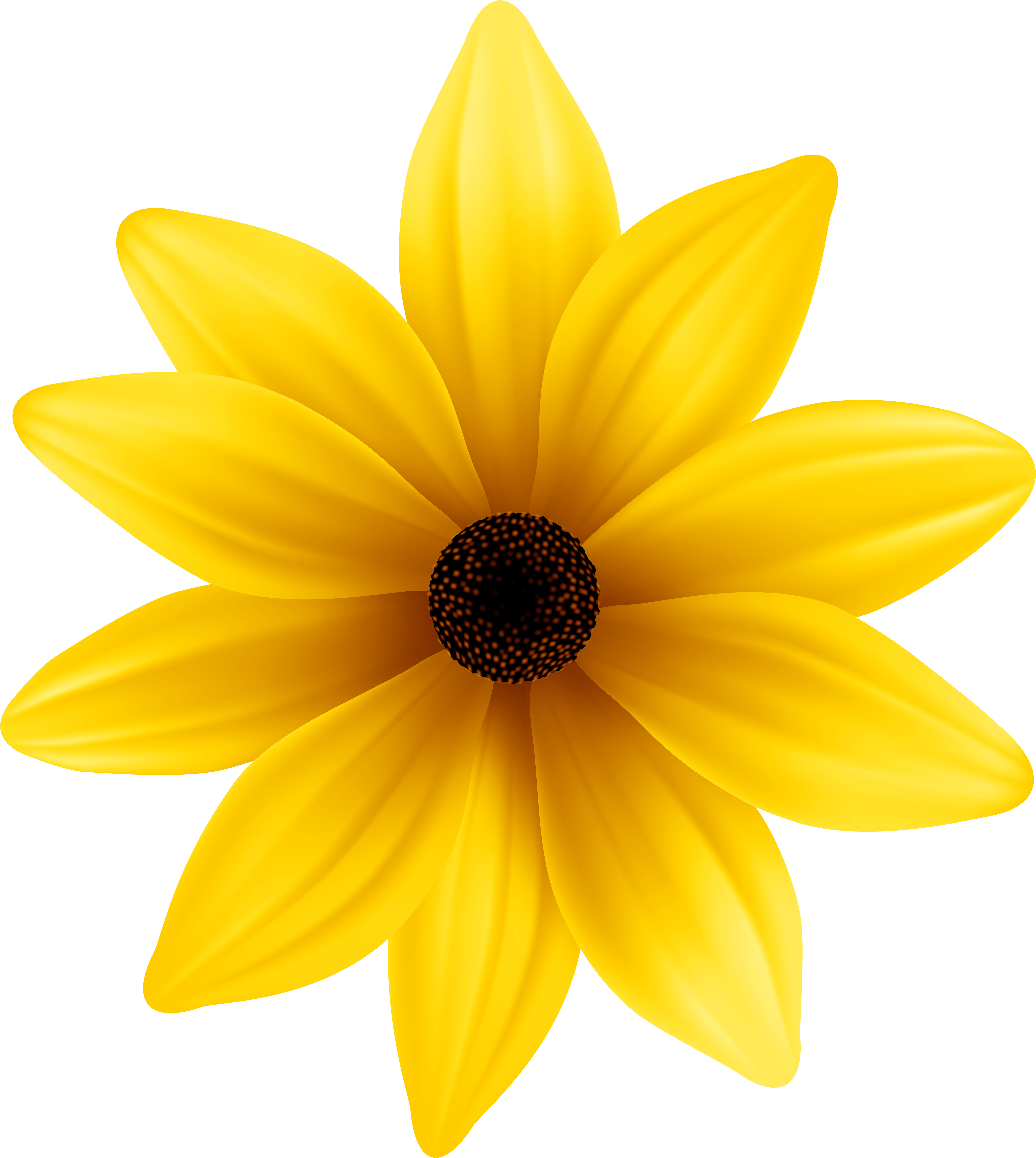 Black Flowers Png (7177x8000), Png Download