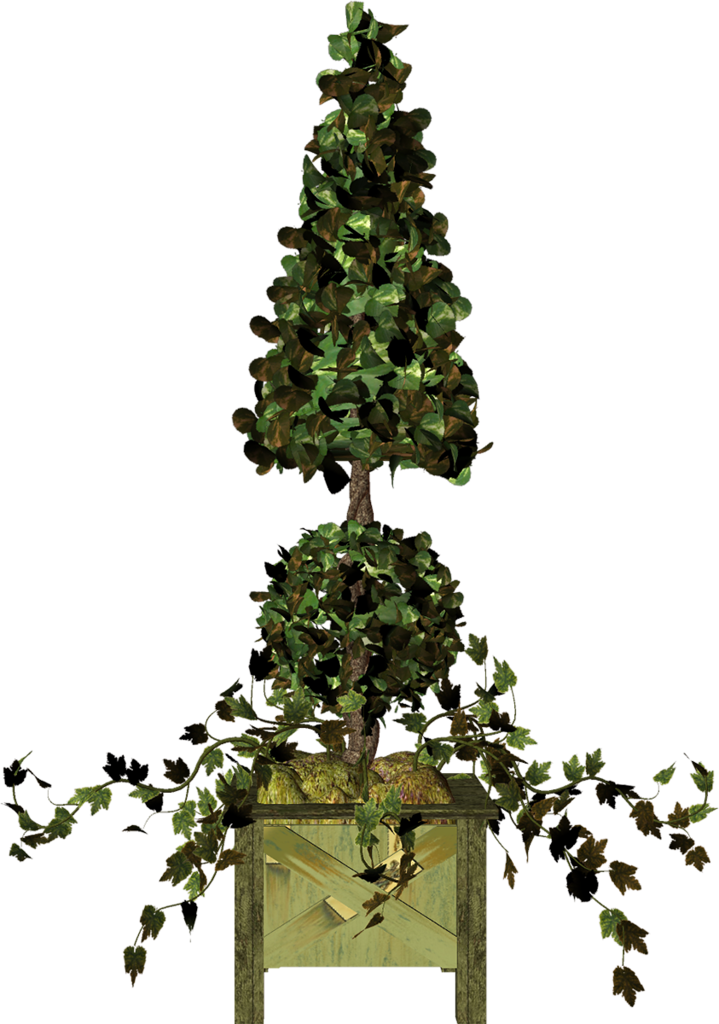 Garden Pot Plant Png Rvores Jardim E - Clip Art (719x1024), Png Download