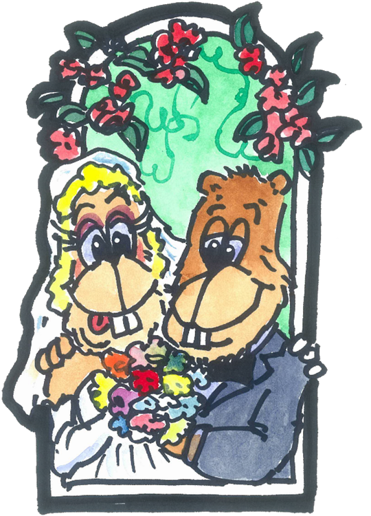 19 Wedding Couple - Cartoon (548x768), Png Download