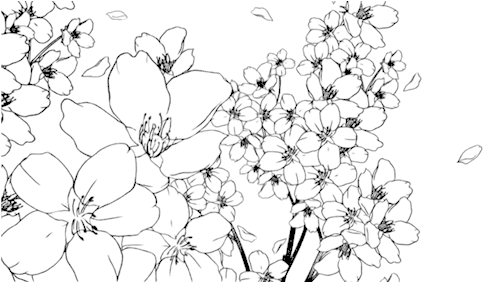 Manga Flowers Png Graphic Library - Манга Цветы Пнг (500x281), Png Download