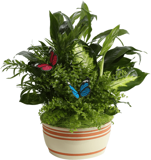 Horizon Planter, 8" Cream - Flowerpot (511x600), Png Download