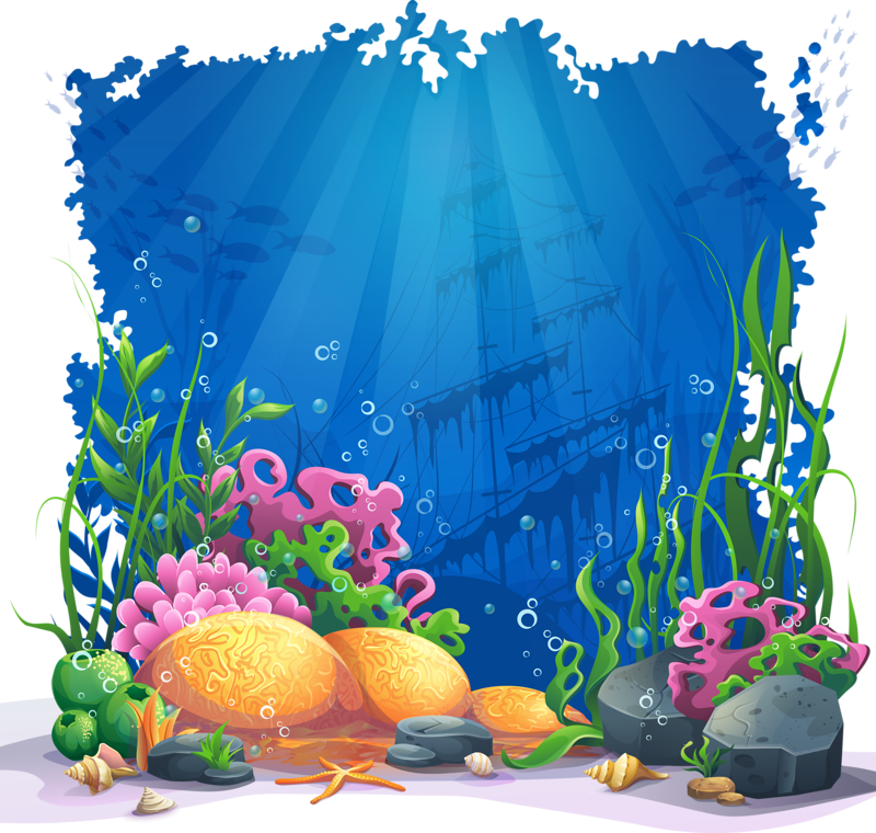 Fish Illustration - Adventures Of Morty (the Famous Turtle Detective Is (800x760), Png Download