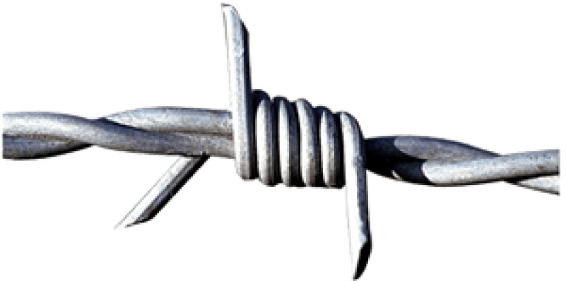 Gi Barbed Wire - Barbed Iron Wire (800x800), Png Download