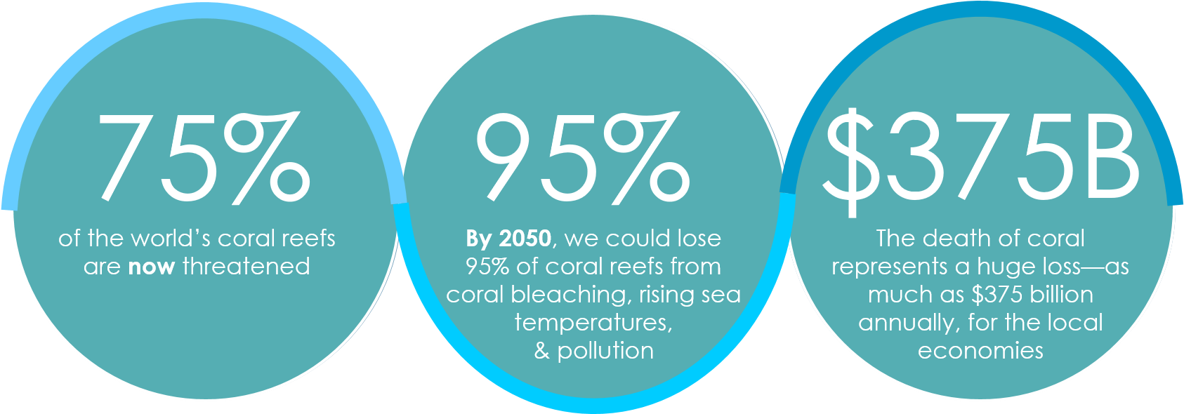 Reefs Around The World Need Help - 95% Vegan Weight Loss Solution: The World's First Flexi... (1730x591), Png Download
