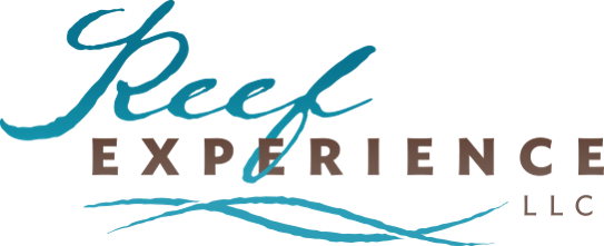 Reef Experience (543x221), Png Download