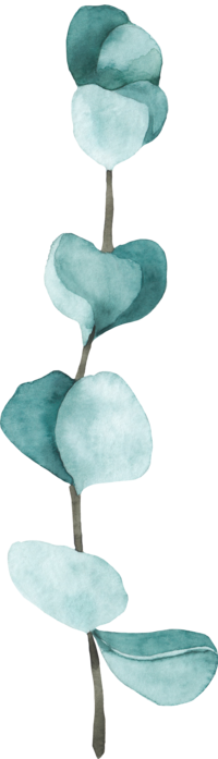 4 - Tulip (200x697), Png Download