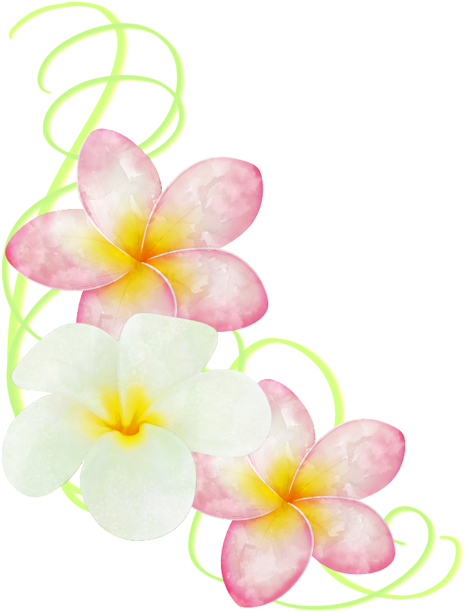 This Graphics Is Hand Painted Two Colors Of Egg Flower - Portable Network Graphics (1024x1024), Png Download