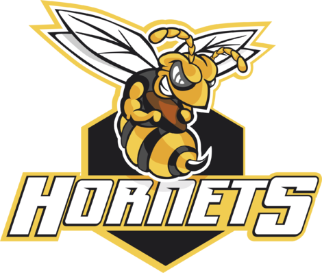 Download Hornet Logo Png Hornets Full Size Png Image Pngkit