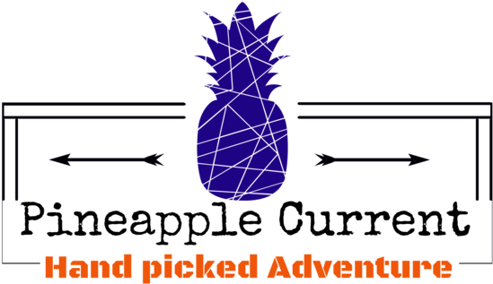 Home Of Hand Picked Adventure - Curating The Good: Collecting And Displaying Evidence (640x427), Png Download