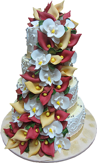 The Original Cake For Special Occasions - Mass (600x550), Png Download