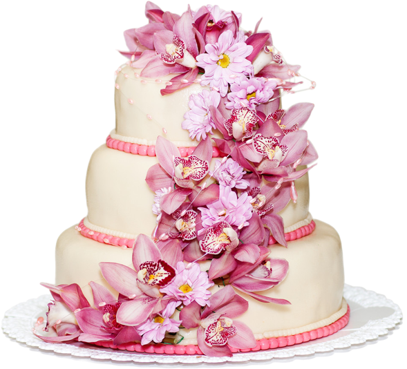We Afford From Brownies To All Blends Of Variety Cakes - Confectionery Websites Templates (600x579), Png Download