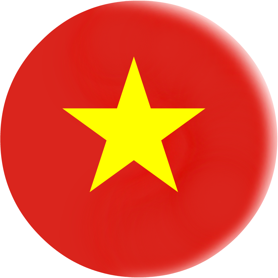 Vietnam - Bandera De San Jose Costa Rica (947x948), Png Download