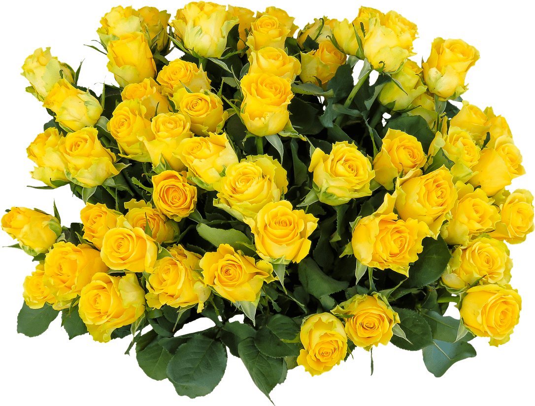 Yellow Rose Flower Free Png Transparent Images Free - Birthday Bouquet Images Download (960x704), Png Download