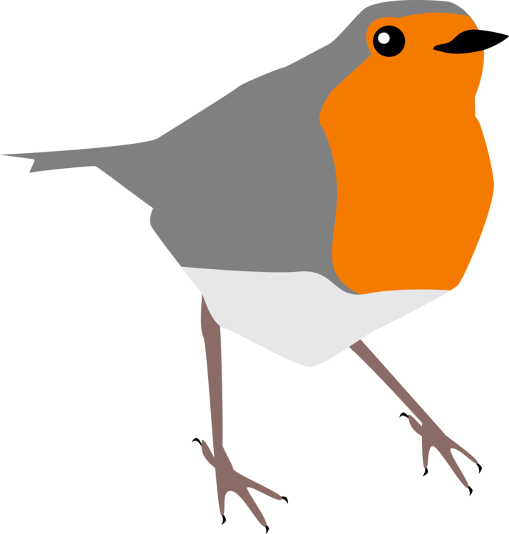 European Robin Drawing Istock Common Nightingale Bird - Clip Art Robin (714x750), Png Download