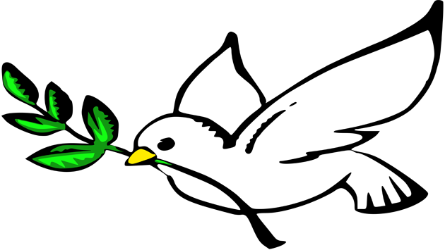 Peace In Islam - Peace Dove Cartoon (630x355), Png Download