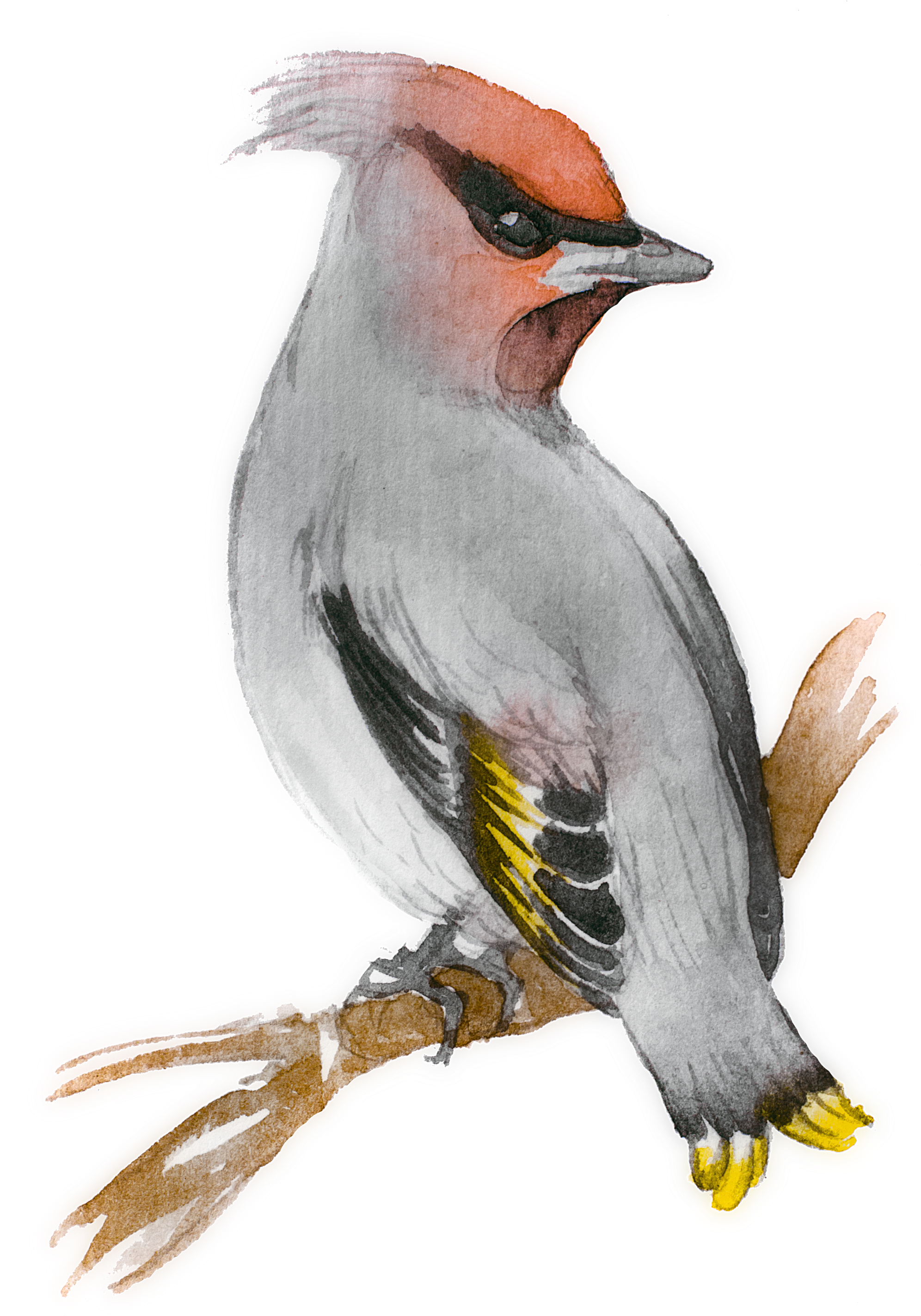 Mar 20 Tired (2100x3048), Png Download
