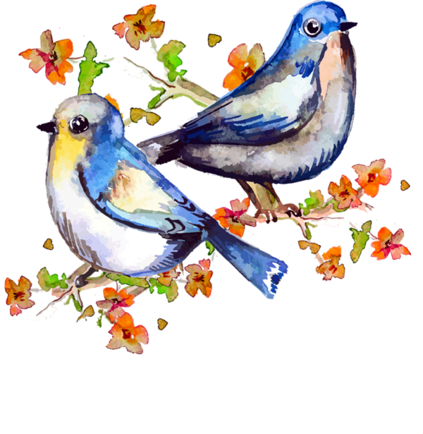 Publicat De Eu Ciresica La - Spring Birds Watercolor (600x615), Png Download