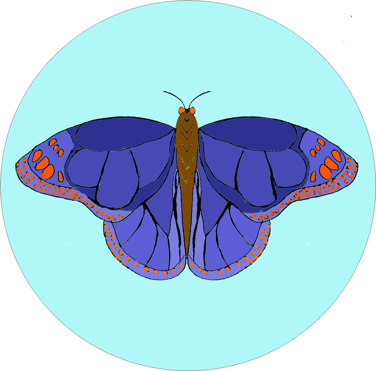 Pink Flower Easy Embroidery Kit - Swallowtail Butterfly (1500x1500), Png Download