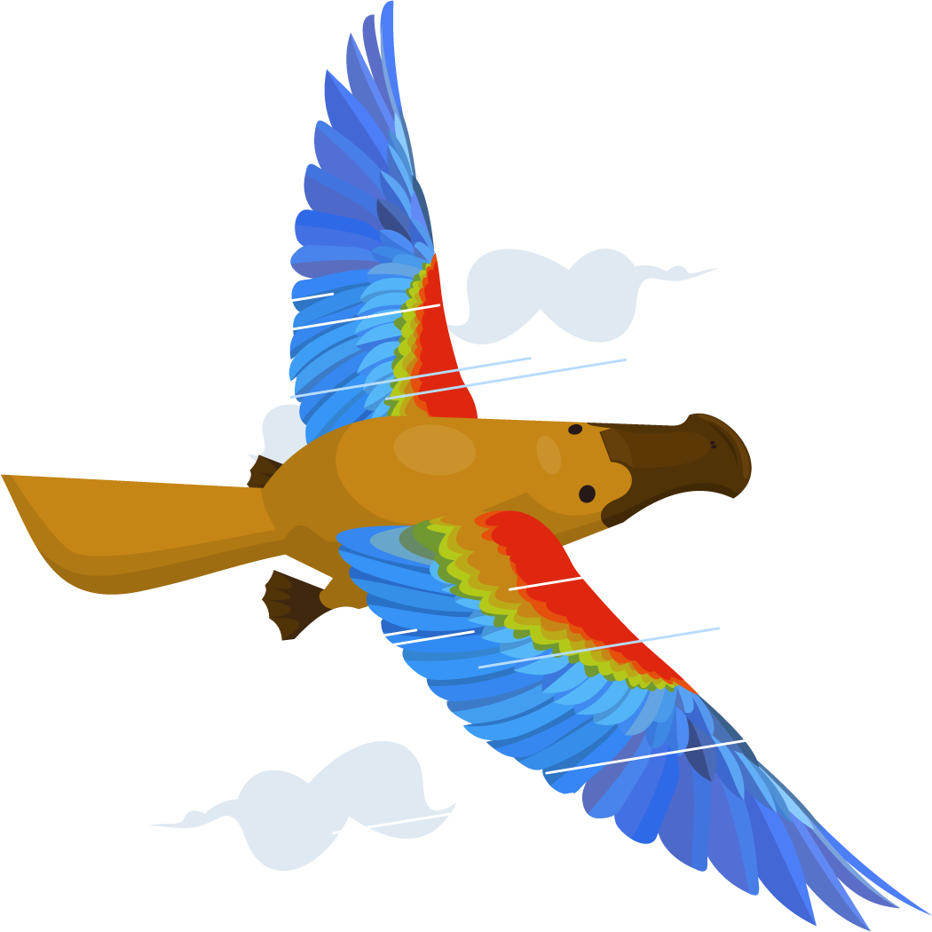 How Do I Fly The Platypus & Grow My Business - Flying Platypus (1050x1050), Png Download