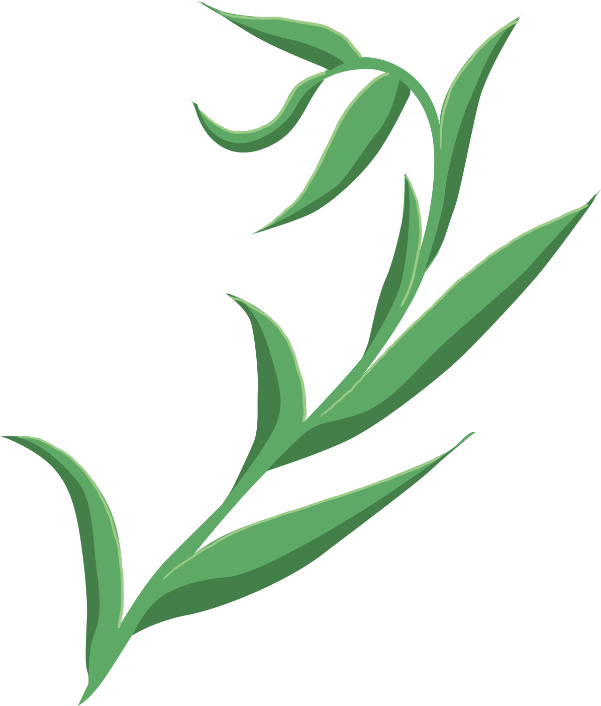 Clip Art (1196x1403), Png Download