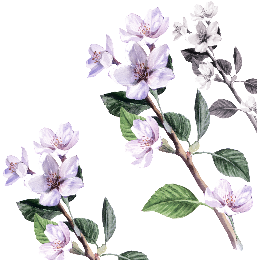 Flower Cartoon Transparent About Flowers,floral Vintage (1024x1046), Png Download