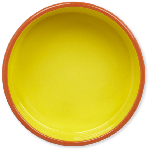 13oz Ceramic Daisy Life Is Good Dog Bowl - Bowl Top View Png (570x570), Png Download