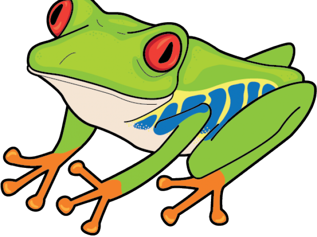 Red Eyed Tree Frog Clipart (640x480), Png Download