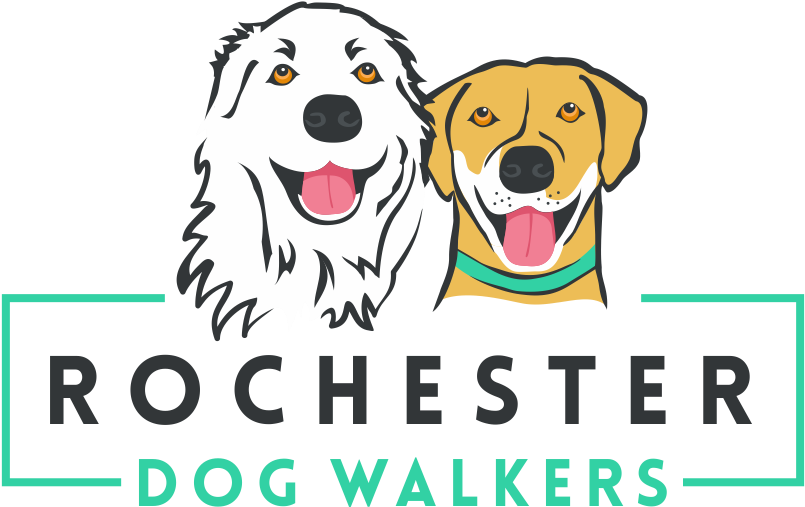 Dog Walking Logo Transparent (946x592), Png Download