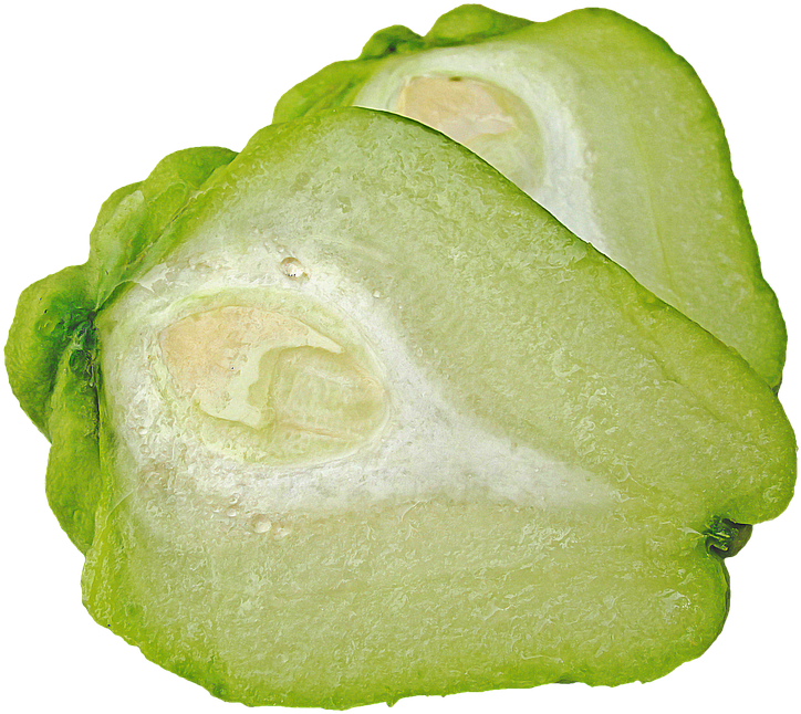 Chayota, Squash, Pope Air, Vegetable - Chayote Png (960x720), Png Download