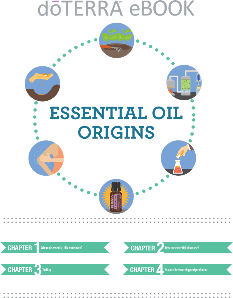 Doterra Essential Oils Origins - Doterra Essential Oils For Fitness (800x1049), Png Download