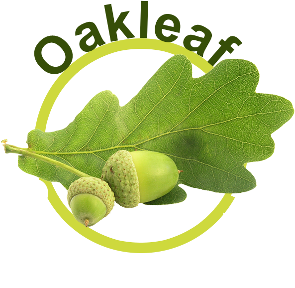Oakleaf Contractors Ltd - Olive (600x608), Png Download