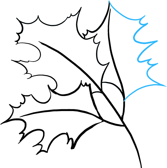 How To Draw Fall Oak - Line Art (680x678), Png Download