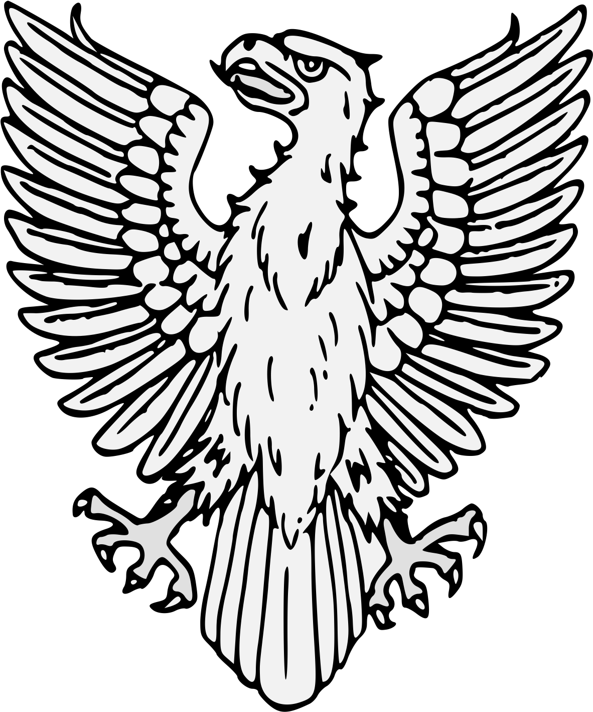 Details, Png - Falconiformes (1237x1443), Png Download