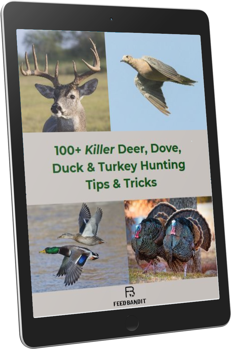 100 Killer Hunting Tips & Tricks That'll Up Your Game - Blue-footed Booby (1500x1366), Png Download