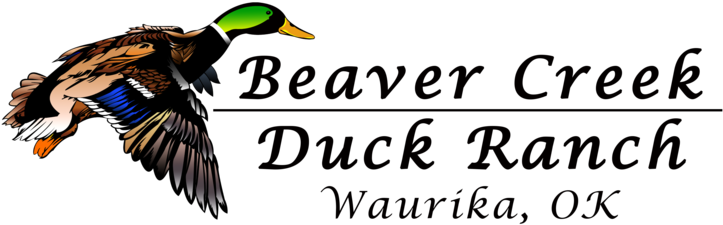 Book An Early Season Teal Hunt Now Sept - Thinking Of You (832x1179), Png Download