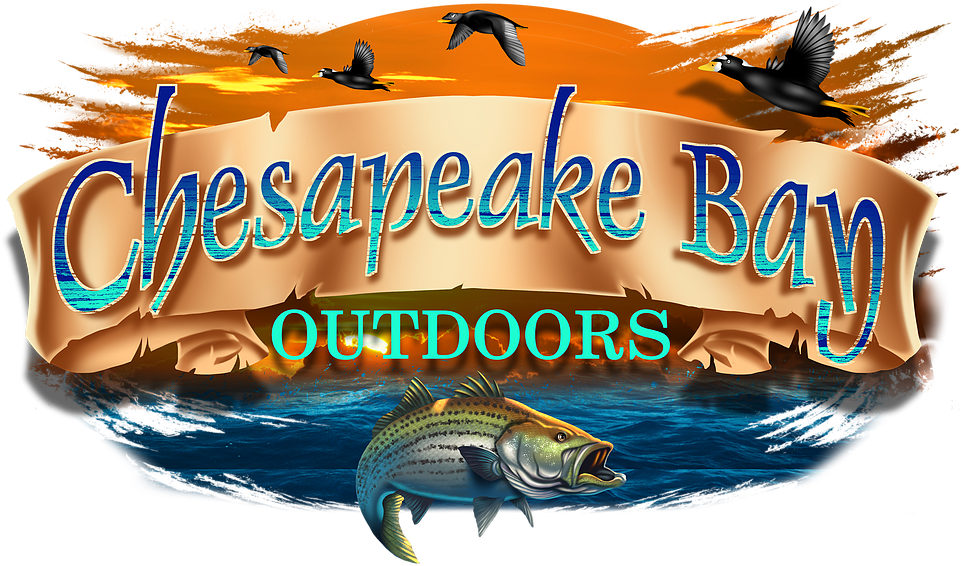 Chesapeake Bay Charter Fishing And Sea Duck Hunting - Pull Fish Out Of Water (980x584), Png Download