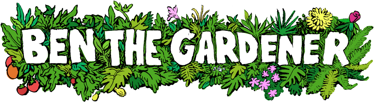 9c1306f4 D001 4479 A8ff C6c936dba825 - Illustration (1280x460), Png Download