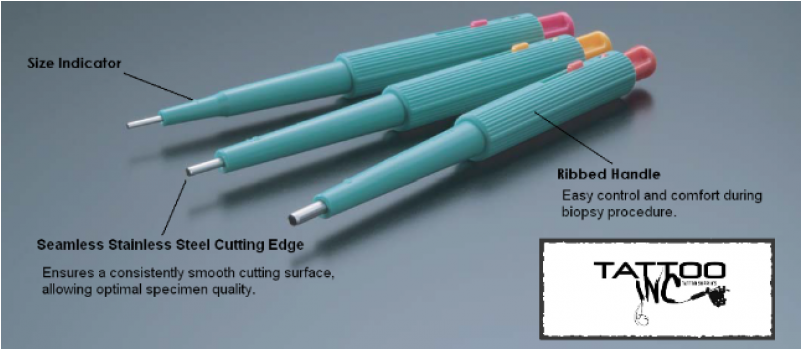 Biopsy Punch With Plunger - Ammunition (800x800), Png Download