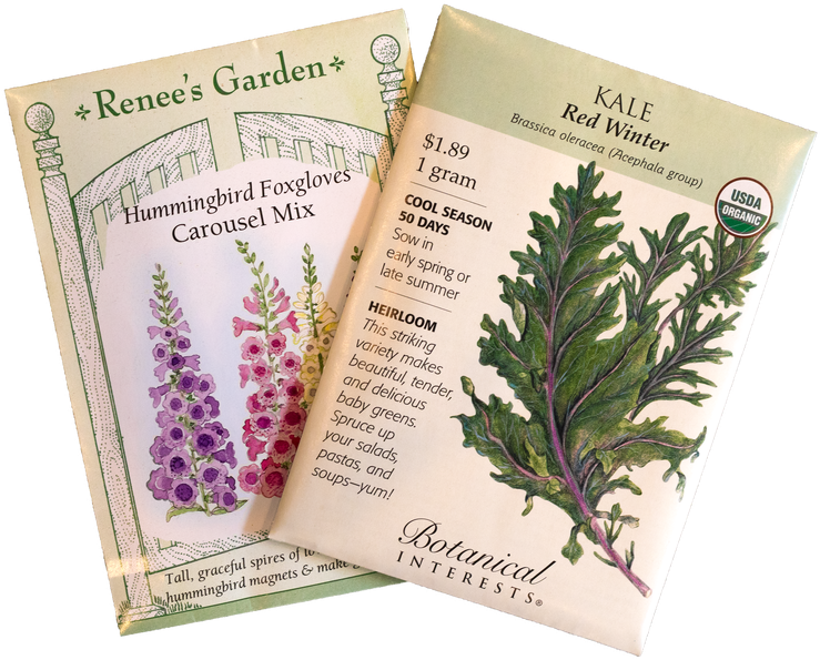 Is An Artist The Same Without Their Palette And Brushes - Red Winter Kale (1200x800), Png Download