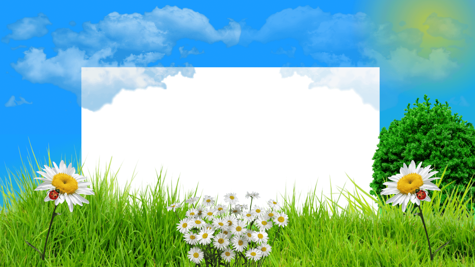 7 Molduras Primavera 2015, Png Com Fundo Transparente - Camomile (1600x900), Png Download