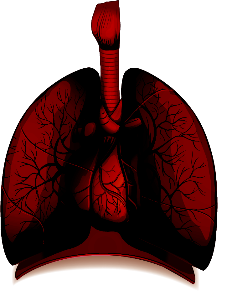 How Healthy Are Your Lungs - Unhealthy Lung Png (840x1200), Png Download