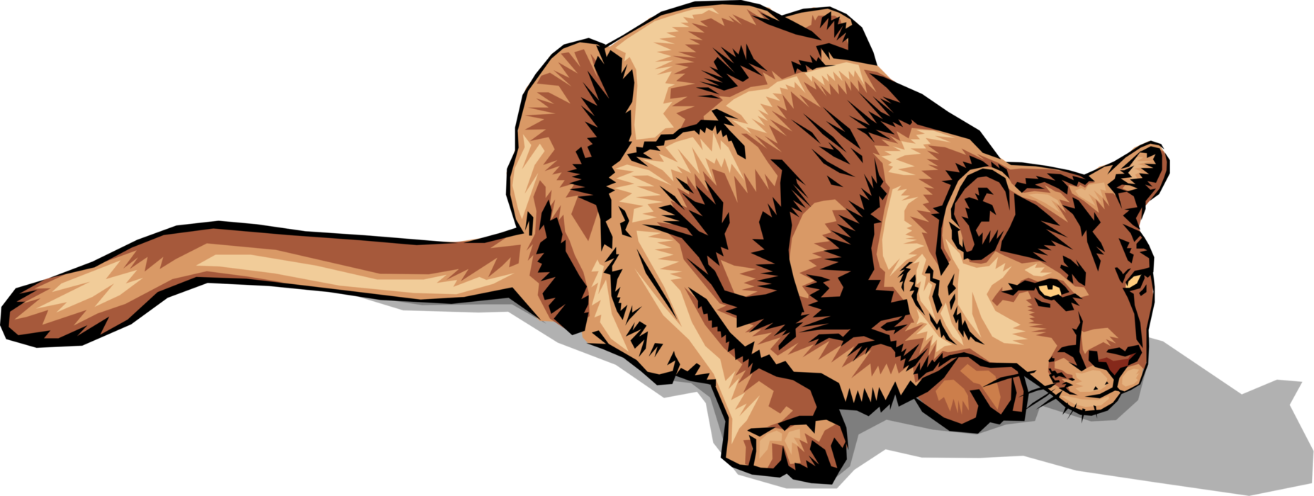 Vector Illustration Of Large Carnivore African Lioness - Bengal Tiger (1854x700), Png Download