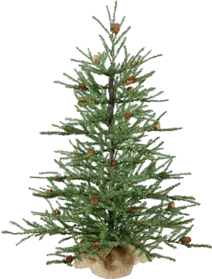 Christmas Tree Looks Real (1420x946), Png Download