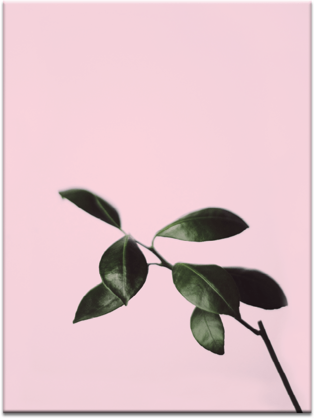 Musk Twig - Mood Board Color Food (900x900), Png Download