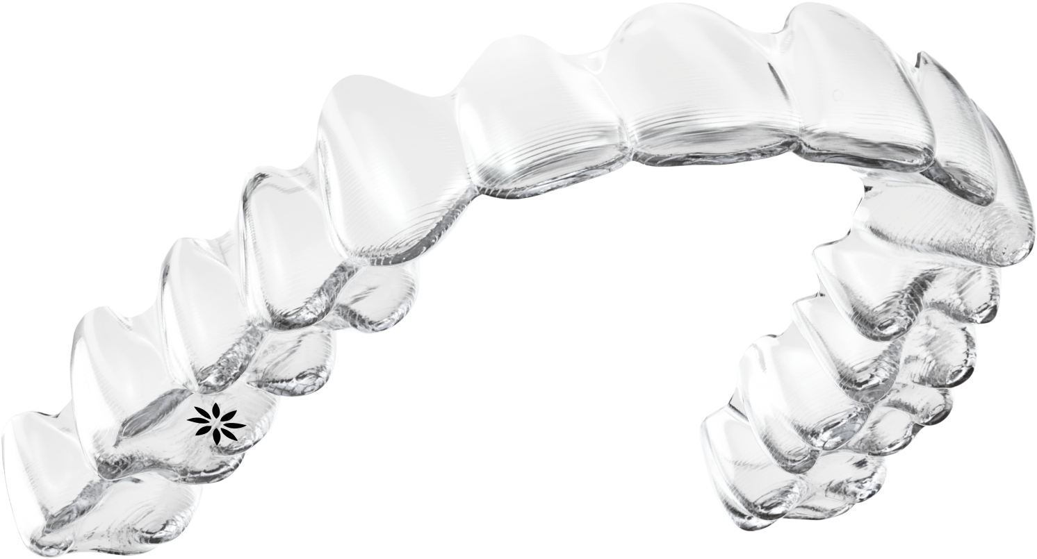 Download Teeth Alignment Orthodontist Clinic Confident Dental Clear Aligners Background Hd Full Size Png Image Pngkit