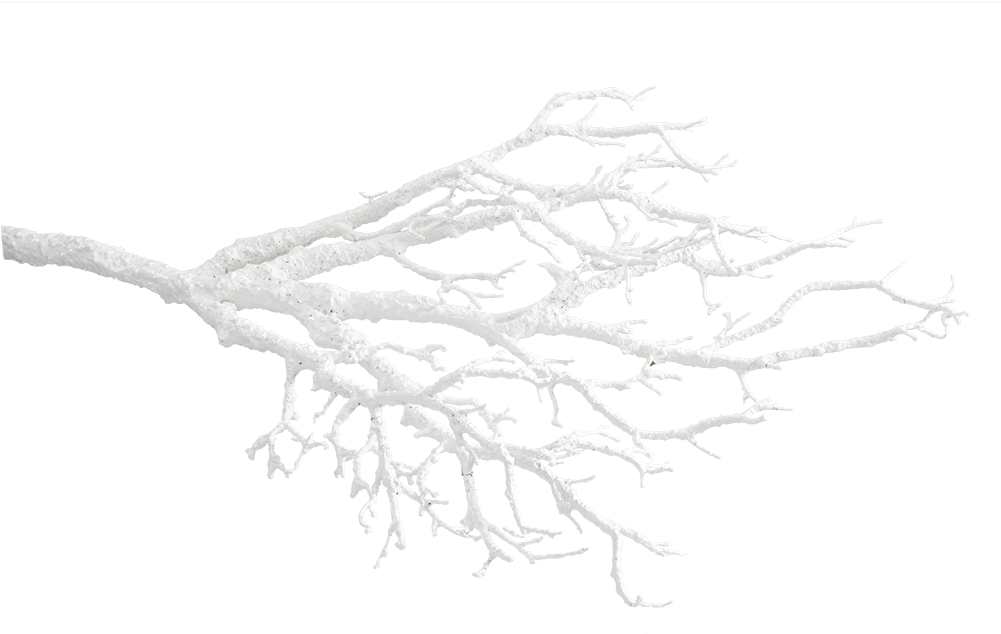 Deco Twig White - Sketch (1000x1000), Png Download