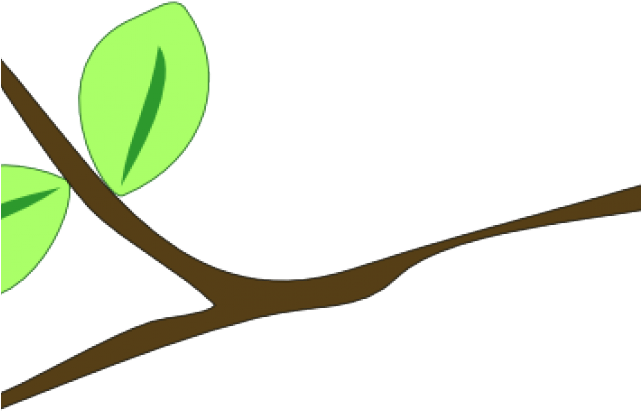 Original - Tree Branch Clip Art (640x480), Png Download