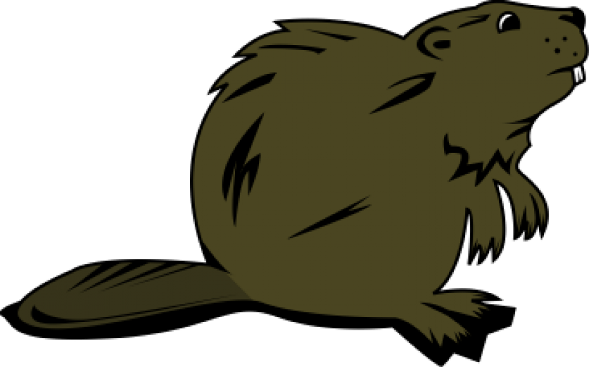 Free Png الفأر Png Images Transparent - Beaver Clipart Transparent Background (850x530), Png Download